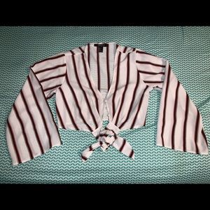 Forever 21 Sheer Crop Top